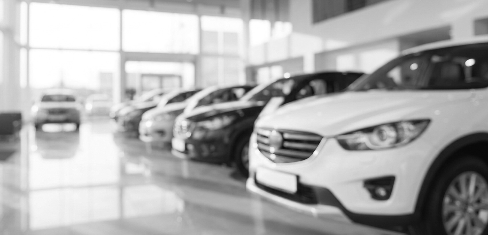 DealershipThankYou - Driving customer loyalty through personal connection.